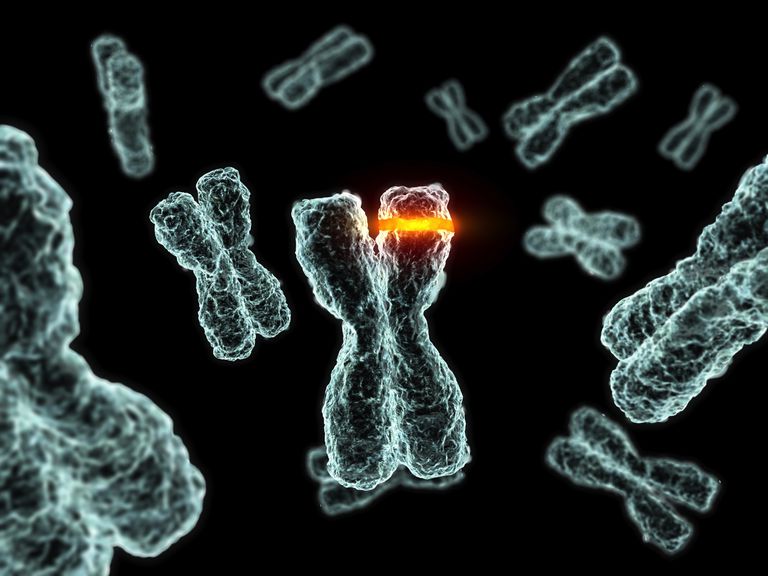 genetiske ændringer, leukæmi akut, vores celler, andet kromosom, celler opdeles