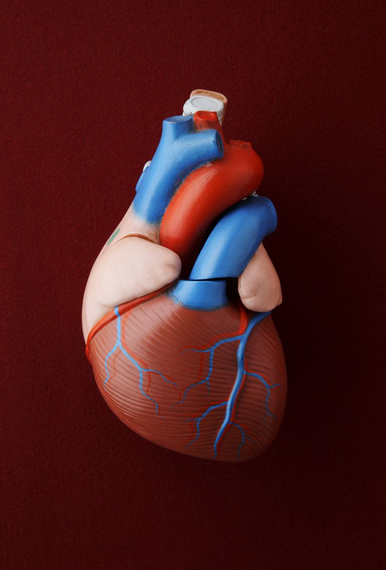 hvert hjerteslag, udstødningsfraktion eller, dels fordi, Ejection Fraction, hjertemusklen bliver, næsten normalt