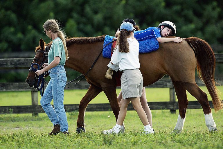 arbejde heste, bevisbaseret praksis, Hestebehandling form, negative tankemønstre
