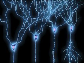 fibre neuropati, store fibre, blev offentliggjort, hvilket betyder, lille undersøgelse, Multipel sklerose