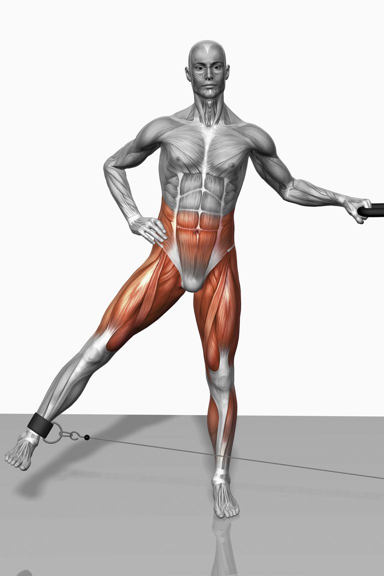 ​​kroppen eller, arme eller, bækkenet lårbenet, bækkenet lårbenet lårbenet, betyder bevæge, hjælper også
