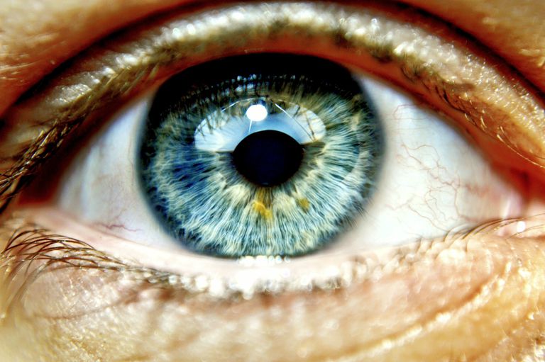 dilateret øjenundersøgelse, dine øjne, eksisterende øjenproblemer, forhindre øjenproblemer, glaukom hvis, hvor iris