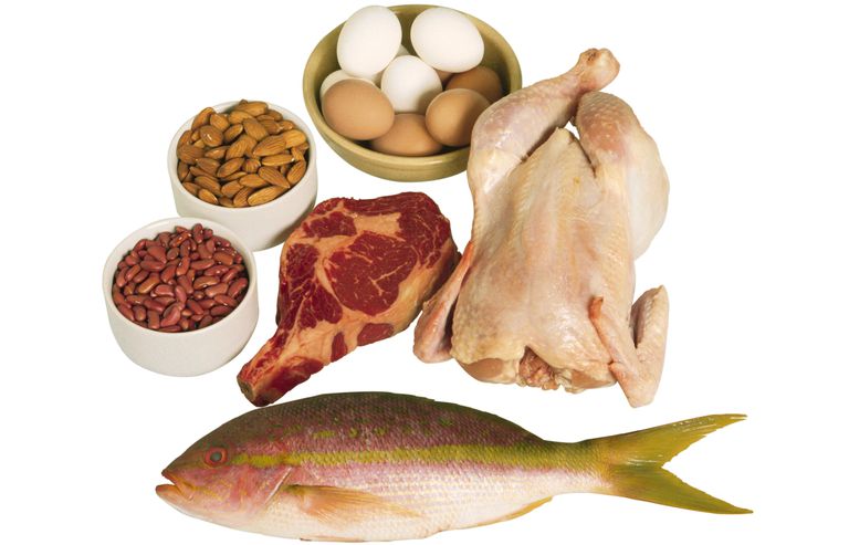 gram protein, kilder protein, brug omkring, brug omkring gram, eller fisk, fjerkræ eller