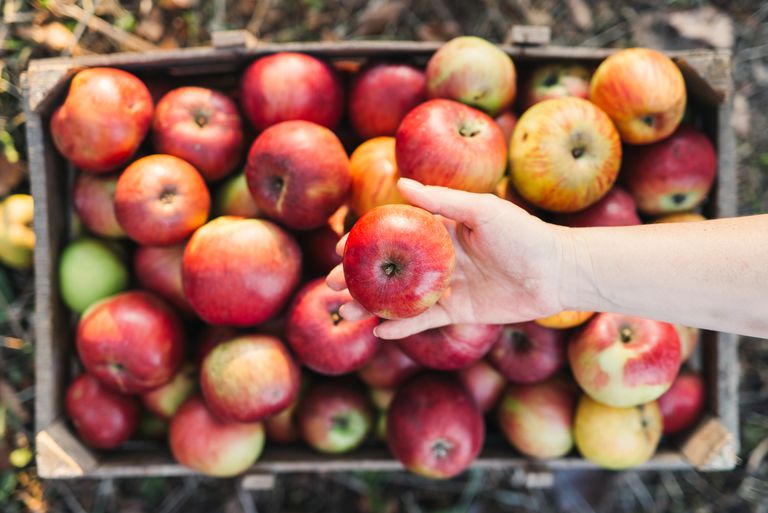 frugt eller, oral allergisyndrom, æbler nyde, æbler tjen, æblerne bagning