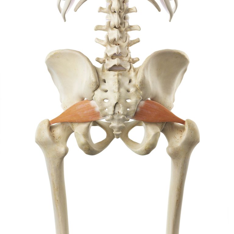 Piriformis Stretch, Stretching Routine, anden side, begge siden, denne position, dine arme