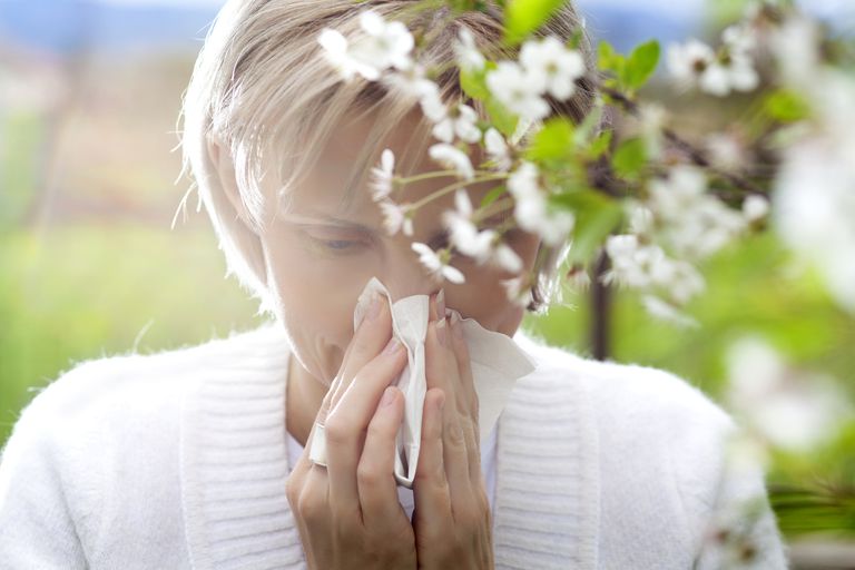 mellem allergier, forbindelse mellem, Allergi Symptomer, allergier betyder, allergisk rhinitis