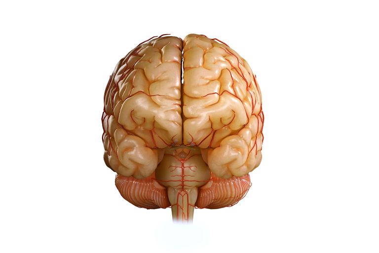efter hovedtrauma, tredje ventrikel, ​​et midline-skift, hævelse omkring, hjernen midten
