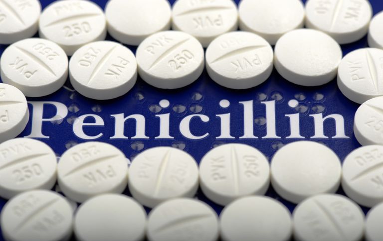penicilliner tænk, meste penicilliner