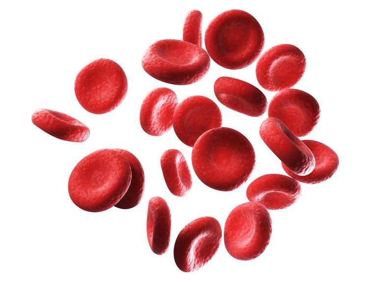 røde blodlegemer, mange røde, mange røde blodlegemer, lave iltniveauer, hvide blodlegemer