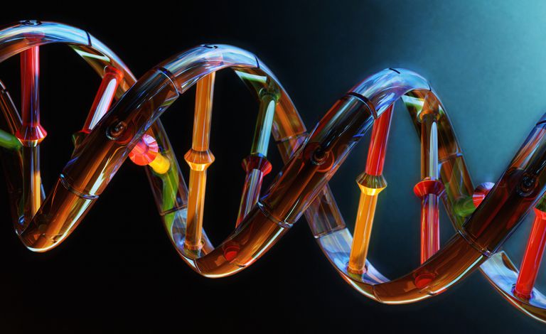 genetisk testning, deres gener, genetiske makeup, genetiske tests, medicinske problemer