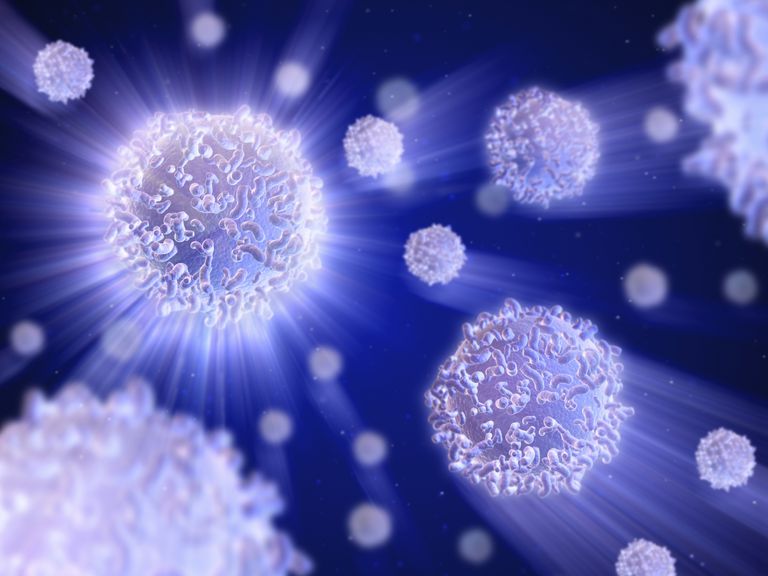 B-celler T-celler, autoimmun sygdom, hvide blodlegemer, udløser immunrespons, allergisk reaktion, altid samme