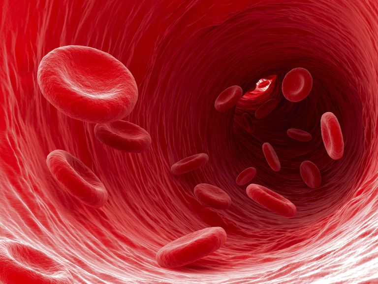 polycythemia vera, røde blodlegemer, denne tilstand, mange røde, mange røde blodlegemer, mennesker polycythemia