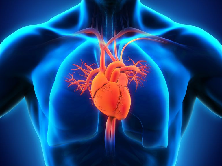 aorta stenose, venstre ventrikel, mekaniske ventiler, kirurgisk ventil