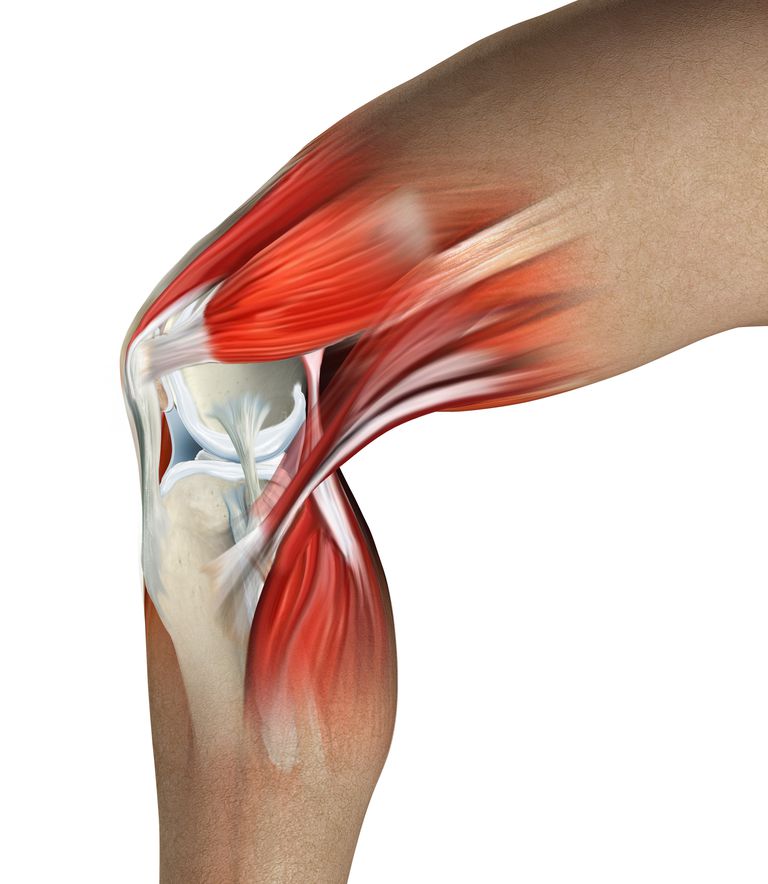 Smerter knæets, gigt eller, lårbenet tibia, præcis diagnose, rheumatoid arthritis