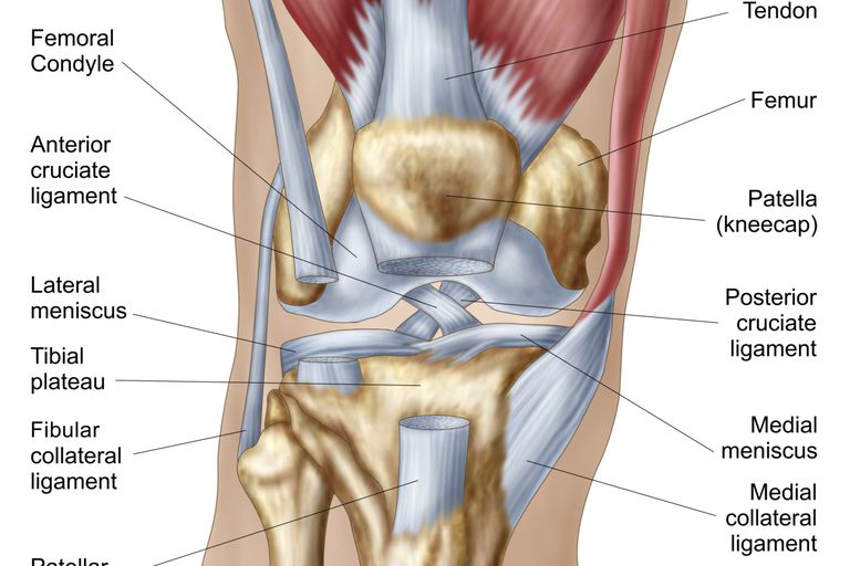 Smerter knæets, gigt eller, lårbenet tibia, præcis diagnose, rheumatoid arthritis