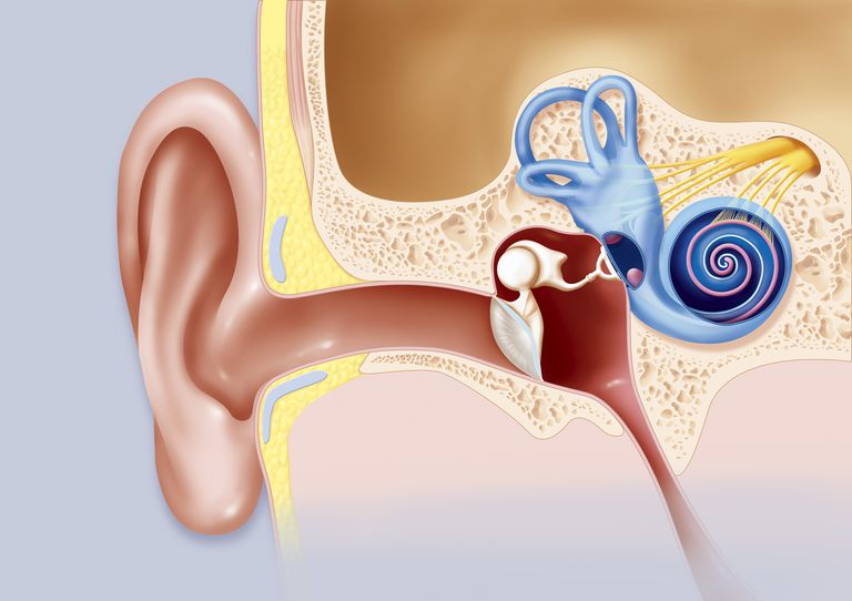 migræne tinnitus, tinnitus migræne, mellem tinnitus, blev fundet